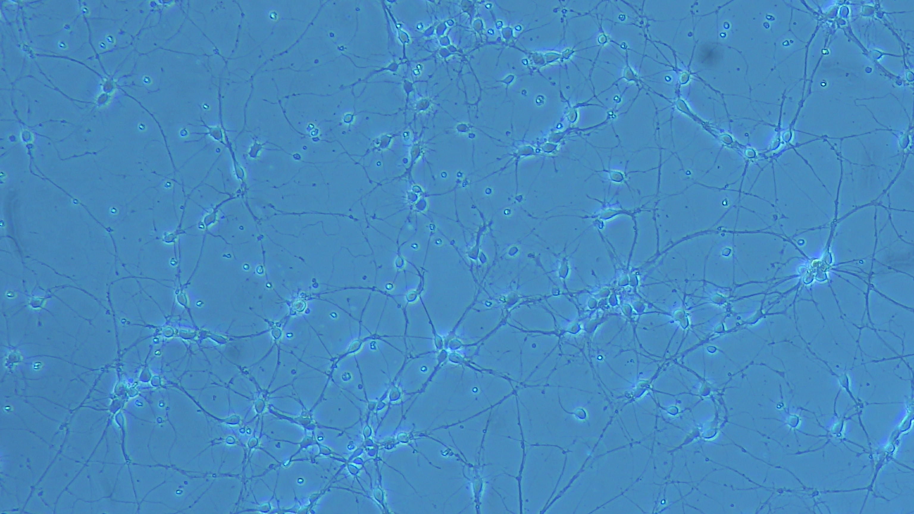 7d-海马.jpg 7d-海马.jpg