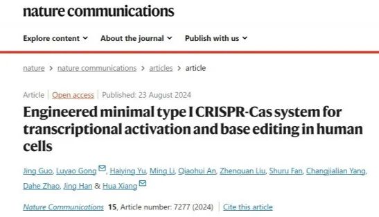 Nat Commun | 中科院微生物研究所研究团队成功创建Class 1最精简I-F2型基因激活与碱基编辑工具！