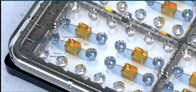 NETRI器官芯片——让芯片中的细胞互做从2D转向“类器官”