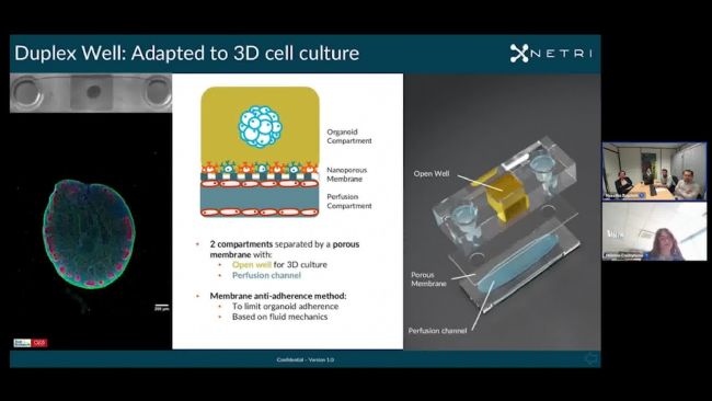 NETRI器官芯片——让芯片中的细胞互做从2D转向“类器官”