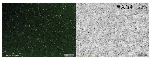 产品细节图片21