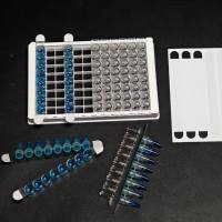 荧光定量 qPCR 封板膜,普通高粘PCR封板膜,取代 Axygen PCR-TS