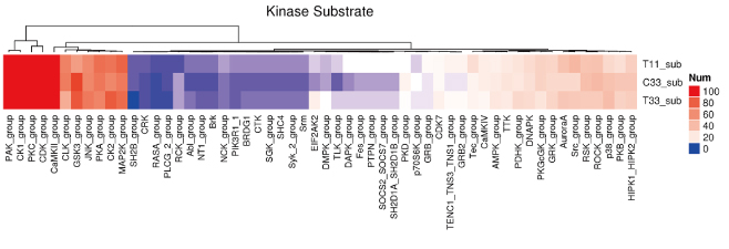 翻译后修饰蛋白质组学