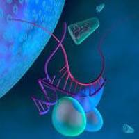 RIP测序 | 核酸-蛋白互作研究