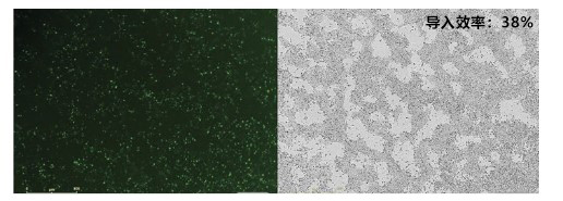 产品细节图片22