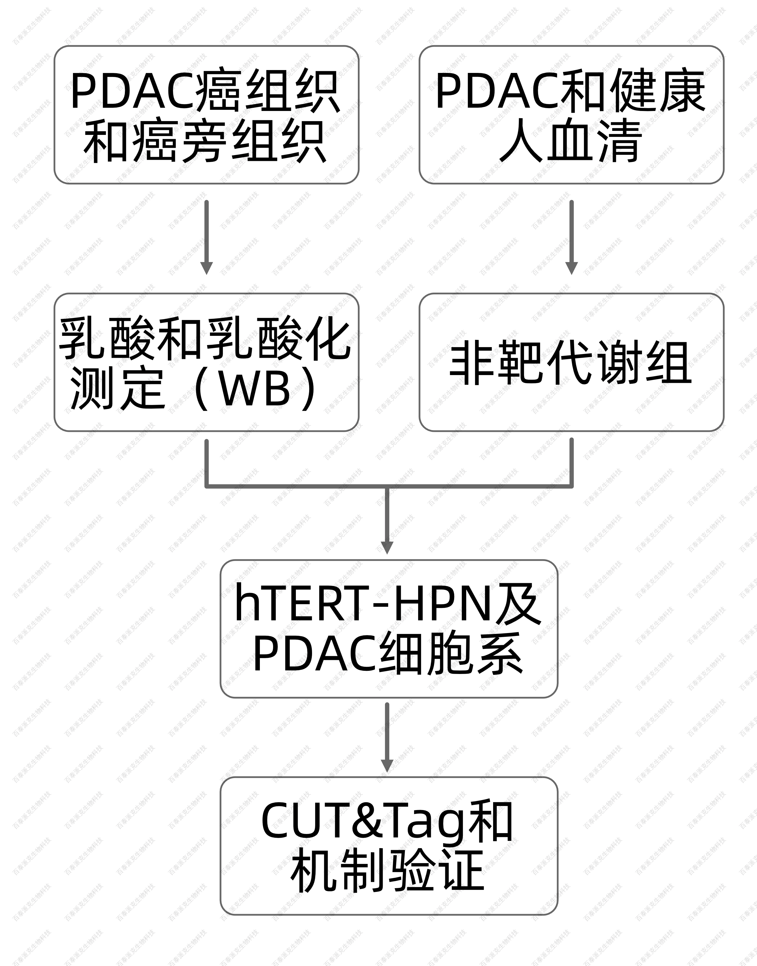 cut-tag-analysis-service-gx3-3