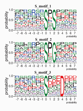 翻译后修饰蛋白质组学
