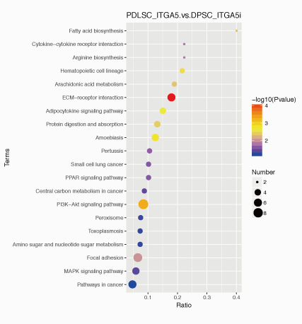 翻译后修饰蛋白质组学