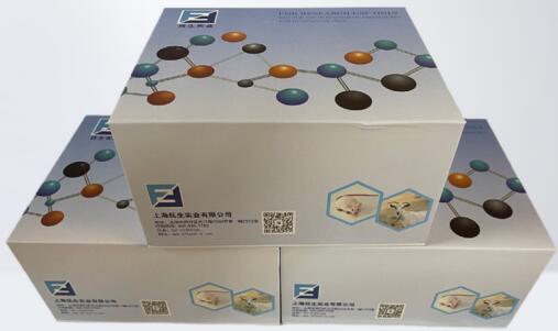 ELISA试验测定条件的配置技巧