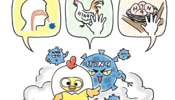 禽流感|“禽”敌再现，莫要慌