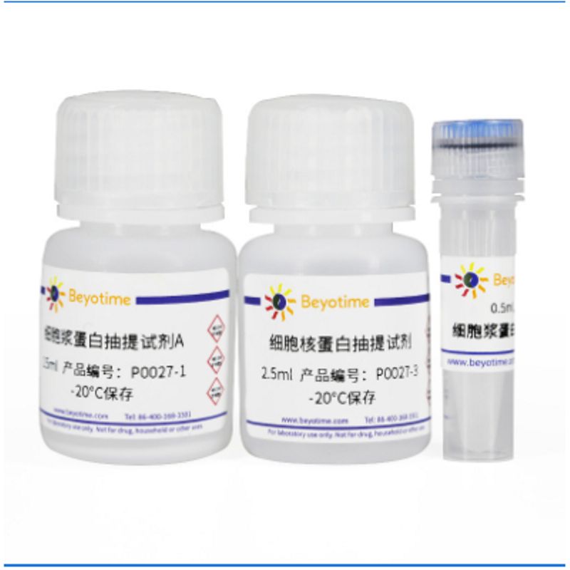 Beyotime碧云天P0027细胞核蛋白与细胞浆蛋白抽提试剂盒
