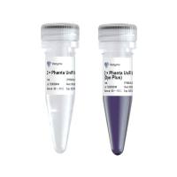 Phanta UniFi（P506/P516/P526）