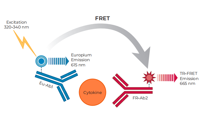THUNDER细胞因子检测，告别样本的N倍稀释
