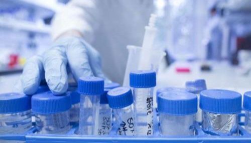 岑特生物2025年春节放假通知