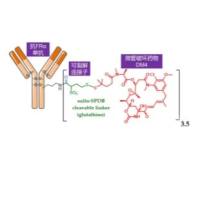Mirvetuximab soravtansine (solution)   1453084-37