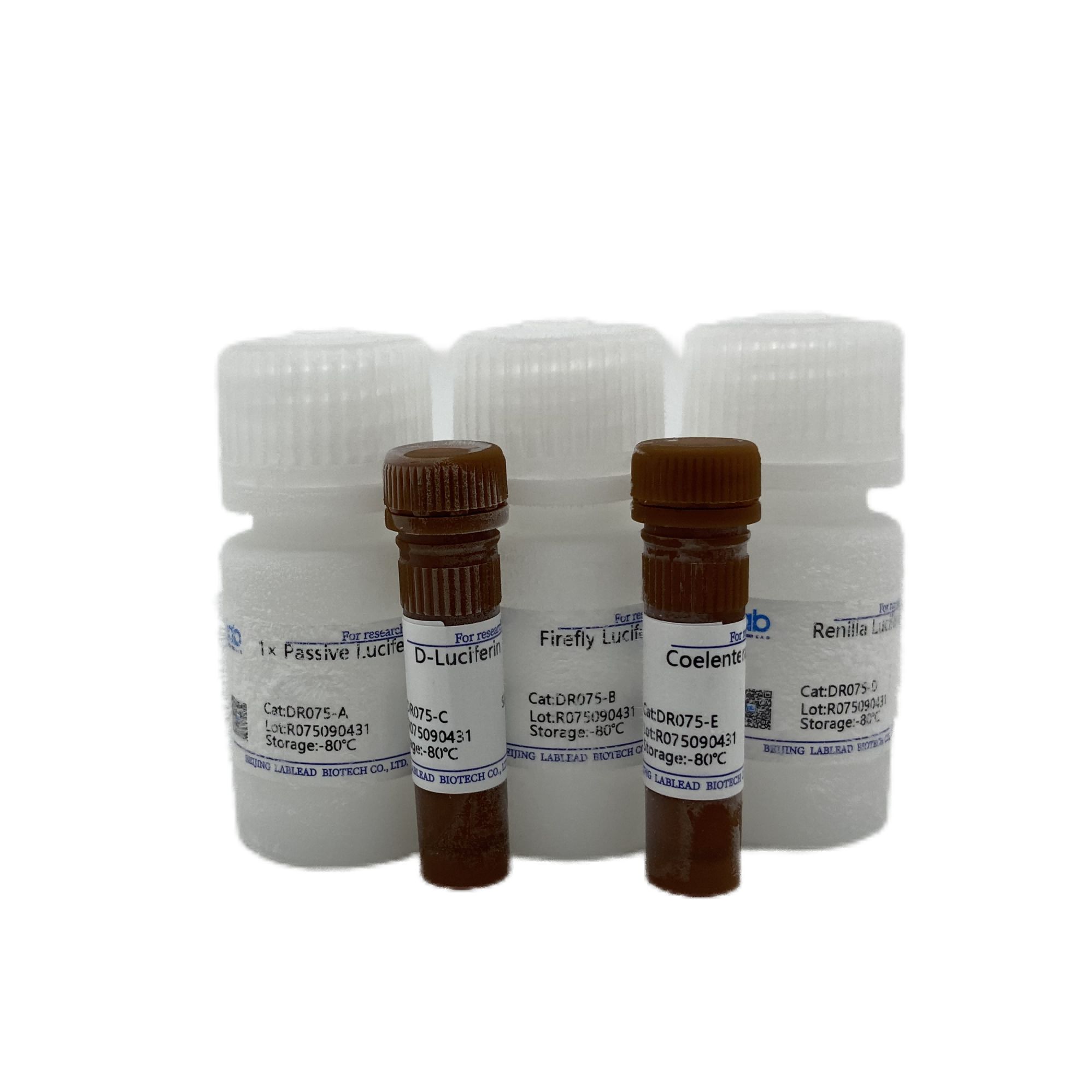 双荧光素报告基因检测试剂盒