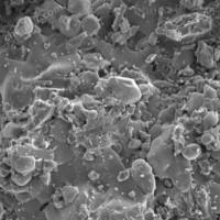 电镜鉴定检测实验