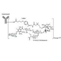 Gemtuzumab ozogamicin 220578-59-6 靶向CD33的ADC药物Mylotarg 抗体偶联药物