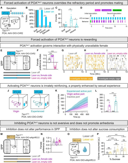 Cell  |  控制性行为发生的关键神经环路