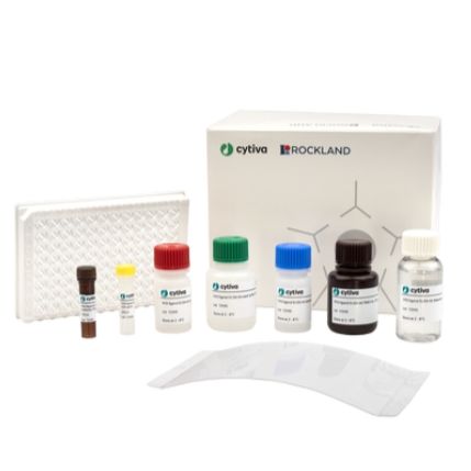 VH3 配基 ELISA 试剂盒