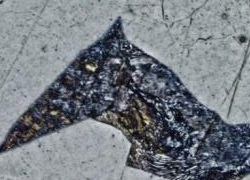 倒置金相显微镜GX53