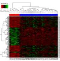 RPPA全景信号通路标准化分析服务