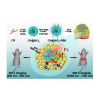 介孔二氧化硅包裹共轭聚合物(CP)被聚乙二醇修饰