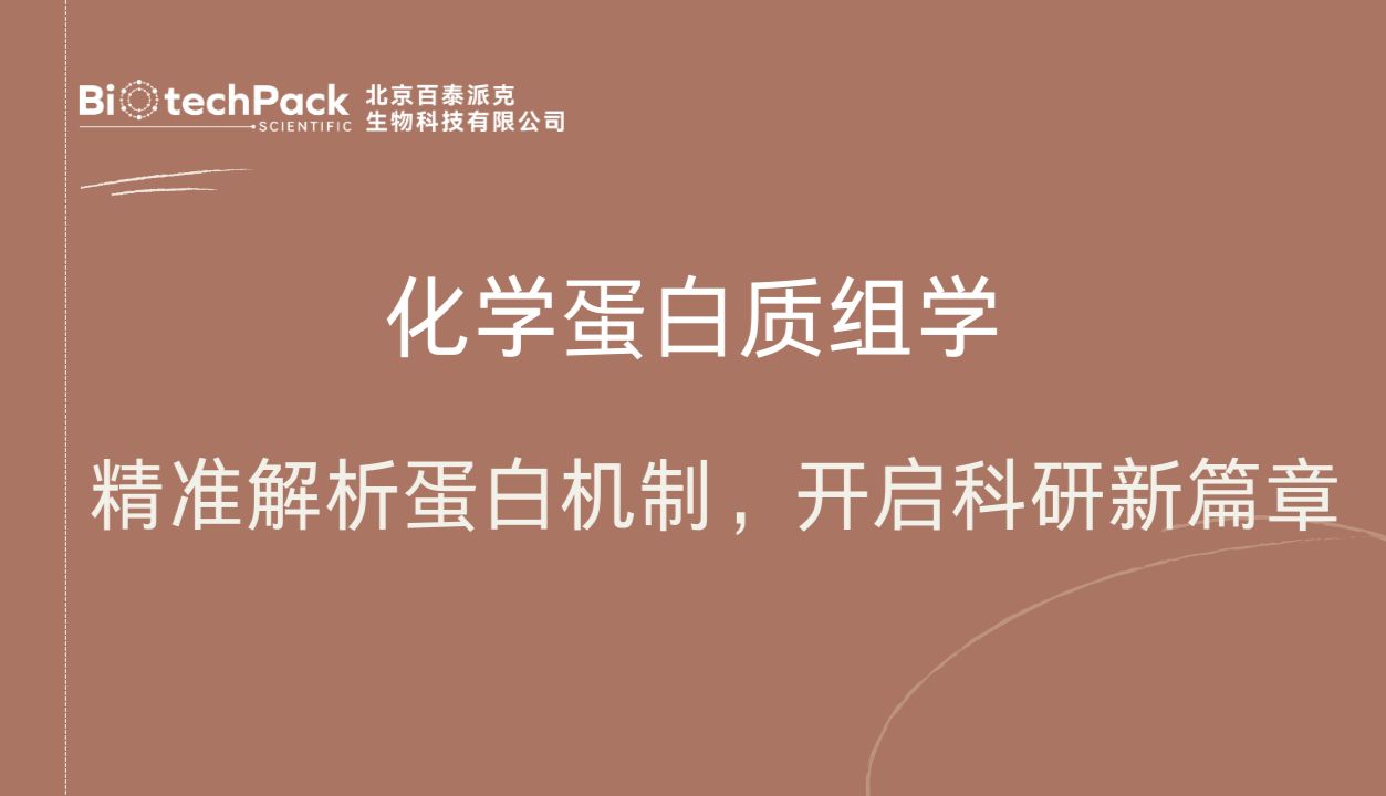 化学蛋白质组学 | 精准解析蛋白机制，开启科研新篇章