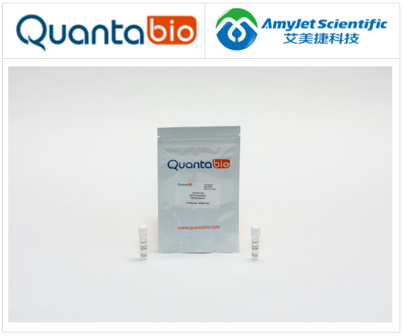 Quantabio-PerfeCTa qPCR超混合试剂，助力科研突破瓶颈