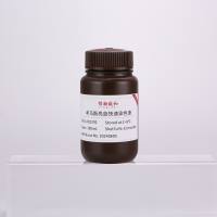 考马斯亮蓝快速染色液-250ml