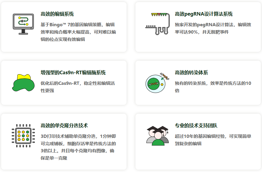 先导编辑（PE）基因点突变细胞稳转株构建服务（支持原代/难转