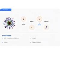 聚合物胶束定制服务