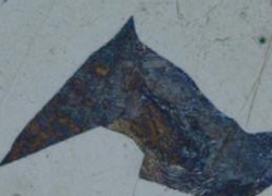 倒置金相显微镜GX53