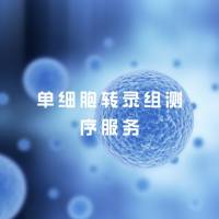 单细胞转录组测序