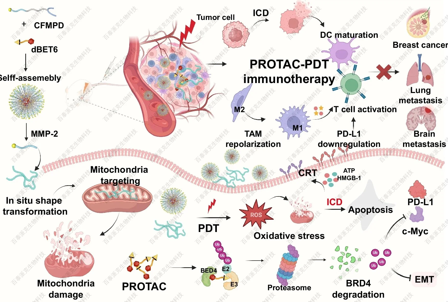 chemical-proteomics-gx3-4