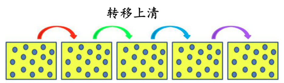 药物非临床体外研究的关键“武器”——原代肝细胞
