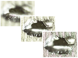 倒置金相显微镜GX53