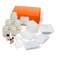 RNAspin 96 试剂盒