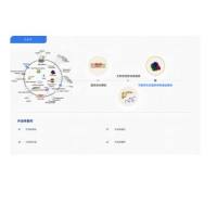 外泌体定制服务