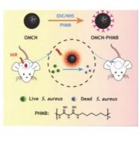 介孔碳纳米球（MCN）被聚六亚甲基双胍盐PHMB修饰