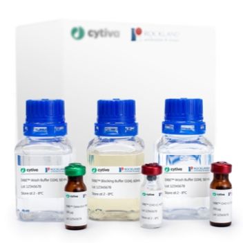 用于验证宿主细胞蛋白 ELISA 的 HCP DIBE™ CHO 试剂盒