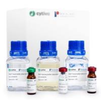 用于验证宿主细胞蛋白 ELISA 的 HCP DIBE™ CHO 试剂盒