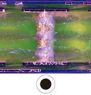 倒置金相显微镜GX53