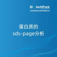 蛋白质的sds-page分析