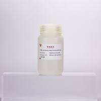 TMB显色终止液(450nm)-100ml