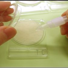 岛津微生物检测 06741 Compact Dry Tc 240pc,菌落总数