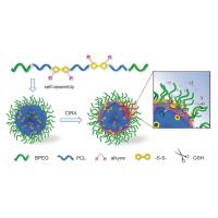3-CD-PEG-SN38 β-环糊精-聚乙二醇-7-乙基-10-羟基喜树碱自主装纳米胶束