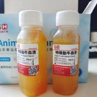蛋白质血清