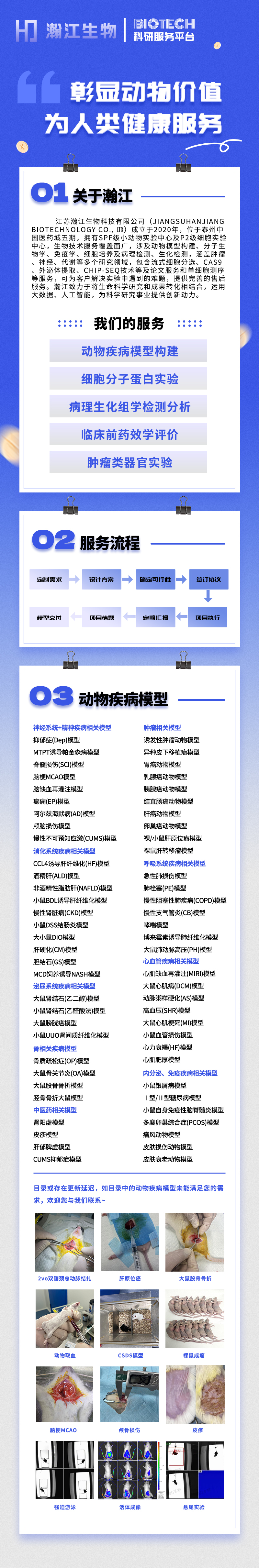 帕金森动物模型(PD)