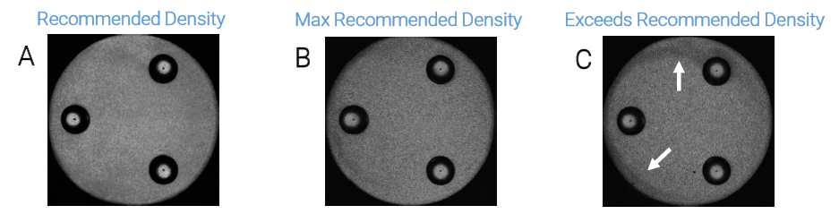 获得高质量细胞能量代谢数据的核心要素——正确的归一化